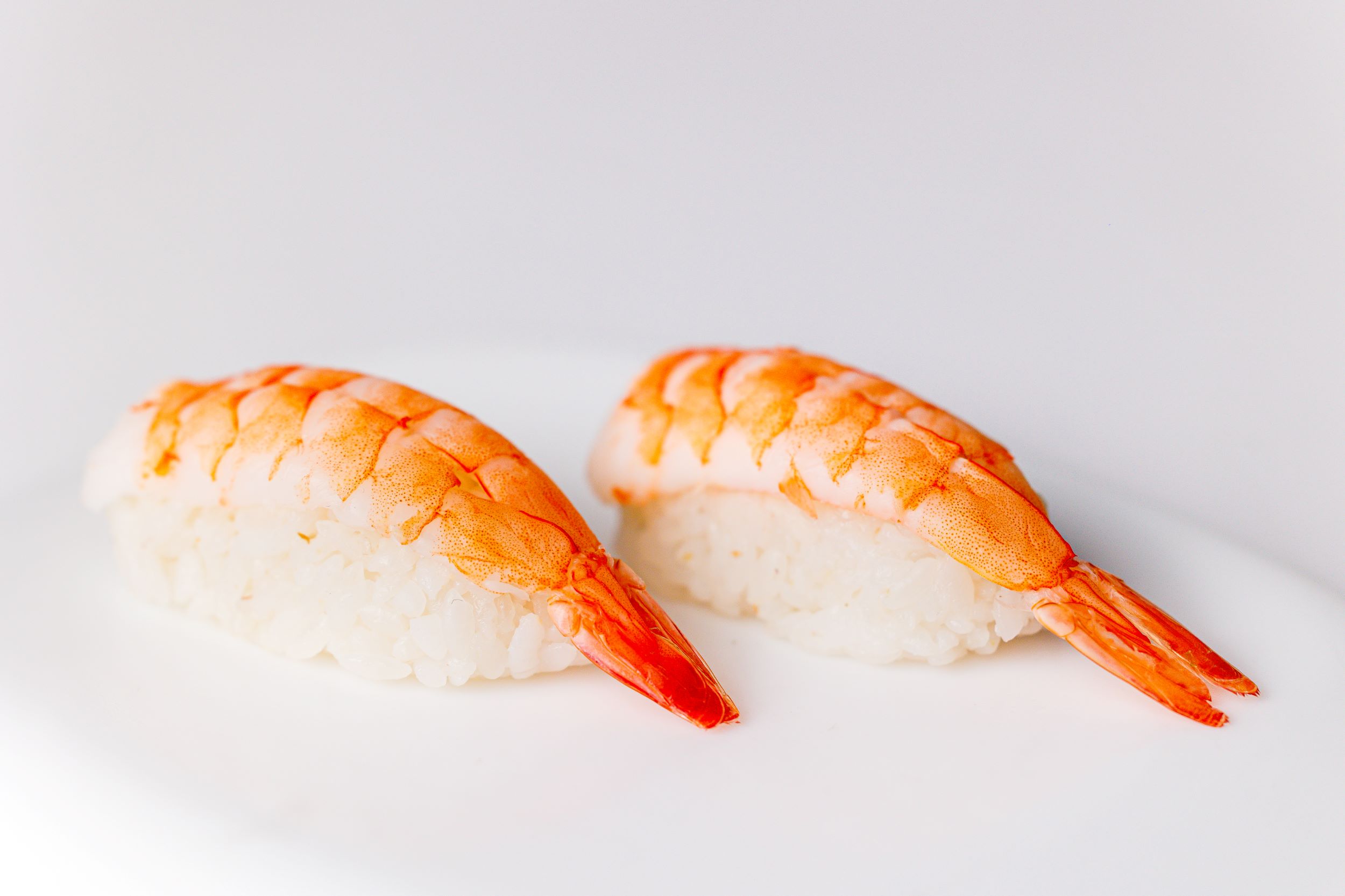 Shrimp nigiri